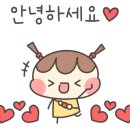 여우애김밥용인 이미지