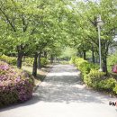 석남체육공원 이미지