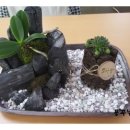 삼덕동주민센터 이미지