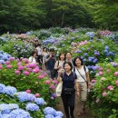 제주인관광호텔 | 제주도 행사전문 여행사 추천! 리얼플랜제주 | 기업행사·워크숍·축제·수학여행·단체여행