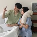 썸 이미지