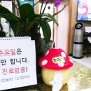 허기석피부과의원 이미지