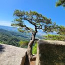 ＜수요산행＞불암산(11월8일) 이미지