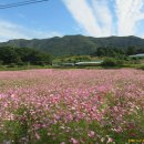 평촌명품마을 이미지