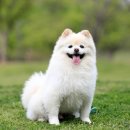 더봄동물병원 이미지