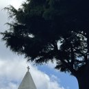 초당커피정미소 | 내돈내산 속초 동명동카페 초당커피정미소 후기