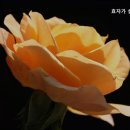 효자실버요양원 이미지