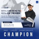 한국미즈노 - 성남시 분당구 운중로178번길 1 | 한국미즈노