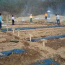 희준농장 이미지