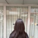 제니헤어 | 압구정로데오미용실 추천 제오헤어 제니레이어드컷 후기