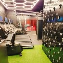 종로청운스포렉스 피트니스센터 이미지