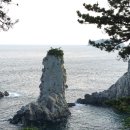 여행하는 나무 이미지