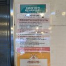 멍뭉다방 | 중랑구 면목동 사가정역 근처 애견카페 멍뭉다방 멍뭉치노 방문후기