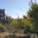 임리농장 이미지