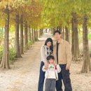 청산조경 - 북구 군왕로 280 | 태안 청산수목원 입장료 핑크뮬리 팜파스 겨울 꽃구경 가볼만한곳