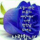 굳세어라금순아 이미지