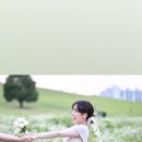 스튜디오니얼바이