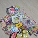 사자약품 | 삿포로 돈키호테 쇼핑 50만원 내돈내산 후기