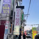 왕조개세꼬시