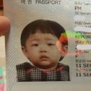 비니 쌀국수