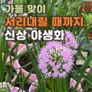 고양대로1432번길 이미지