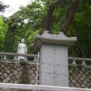 도선사 티스토리