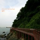 송도해수욕장 이미지