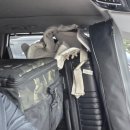 키즈락캠핑장 이미지