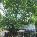 여주-0216 이미지