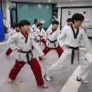 고려용호태권도 이미지