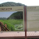 대평늪 화장실 이미지