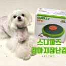 리얼 잘 노는 강아지장난감 노즈워크 찾았습니다.