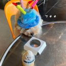 온양제일유치원 | 올해가 가