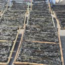 간절곶 소망길 이미지