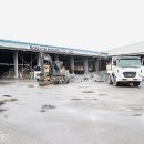 골약초교 이미지