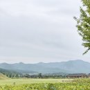 잎새달 스므날