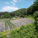 남면농장 이미지