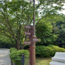 상서파출소 | [#12. 용문산] 자신과의 싸움···징한 너덜산