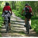 벵가스테이 이미지