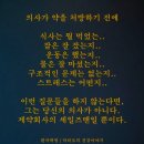 위고비 가격 부작용 대신 건강한 해독다이어트효과