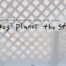 도기플래닛 더 스테이 이미지