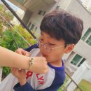 그림이 오감을 만났을때- 감각주의 르누아르 | 그림이 오감을 만났을 때 감각주의 도슨트 정우철과 고흐만나기