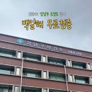 강남구 보건소 백일해 무료 접종 후기 / 접종 후 통증·요일·주차