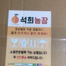 석희농장 | 한라봉 / 석희농장 / 네이버쇼핑 / 과일세트 / 제주특산품 / 계절과일 / 솔직후기