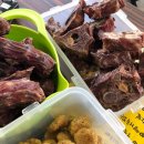 네발총총 이미지