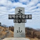 제324차 강원도 태백산(해발1,567m) 눈꽃산행ㅡ1월 7일 이미지