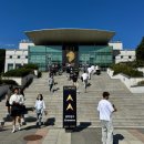 대한넘버링 | 블랙컴뱃 12 넘버링 직관 스탠다드석 후기