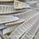 거창산골 삶은 죽순이 왔어요 이미지