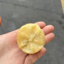 세창당 이미지
