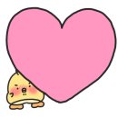 꼬모다미 이미지